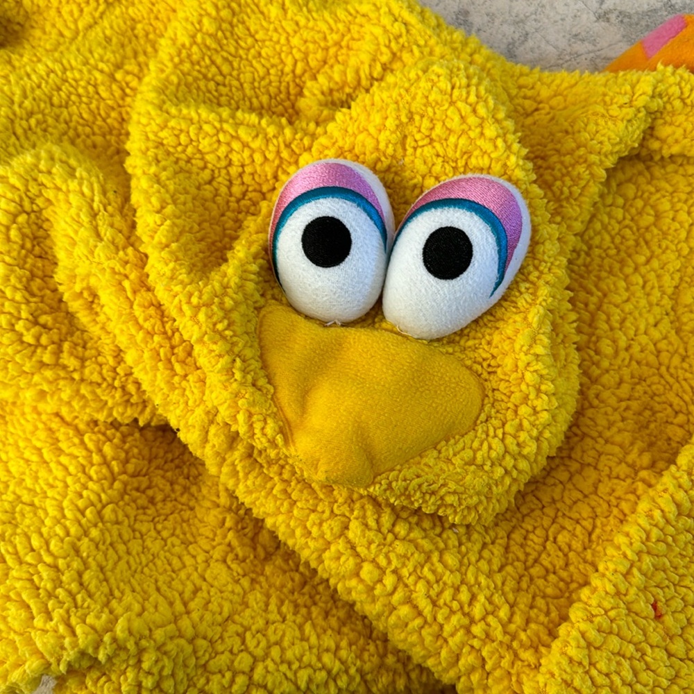 Big Bird pajama onesie costume